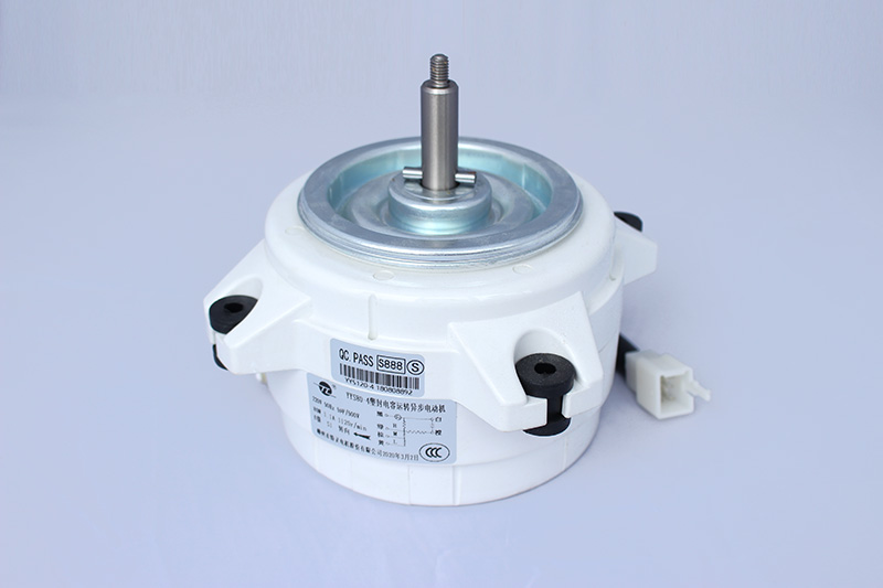 Trotec series plastic encapsulated AC motor